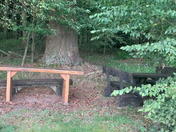A wooden bench and picnic table in a wooded area. - Pension EulenNest (Laubach)