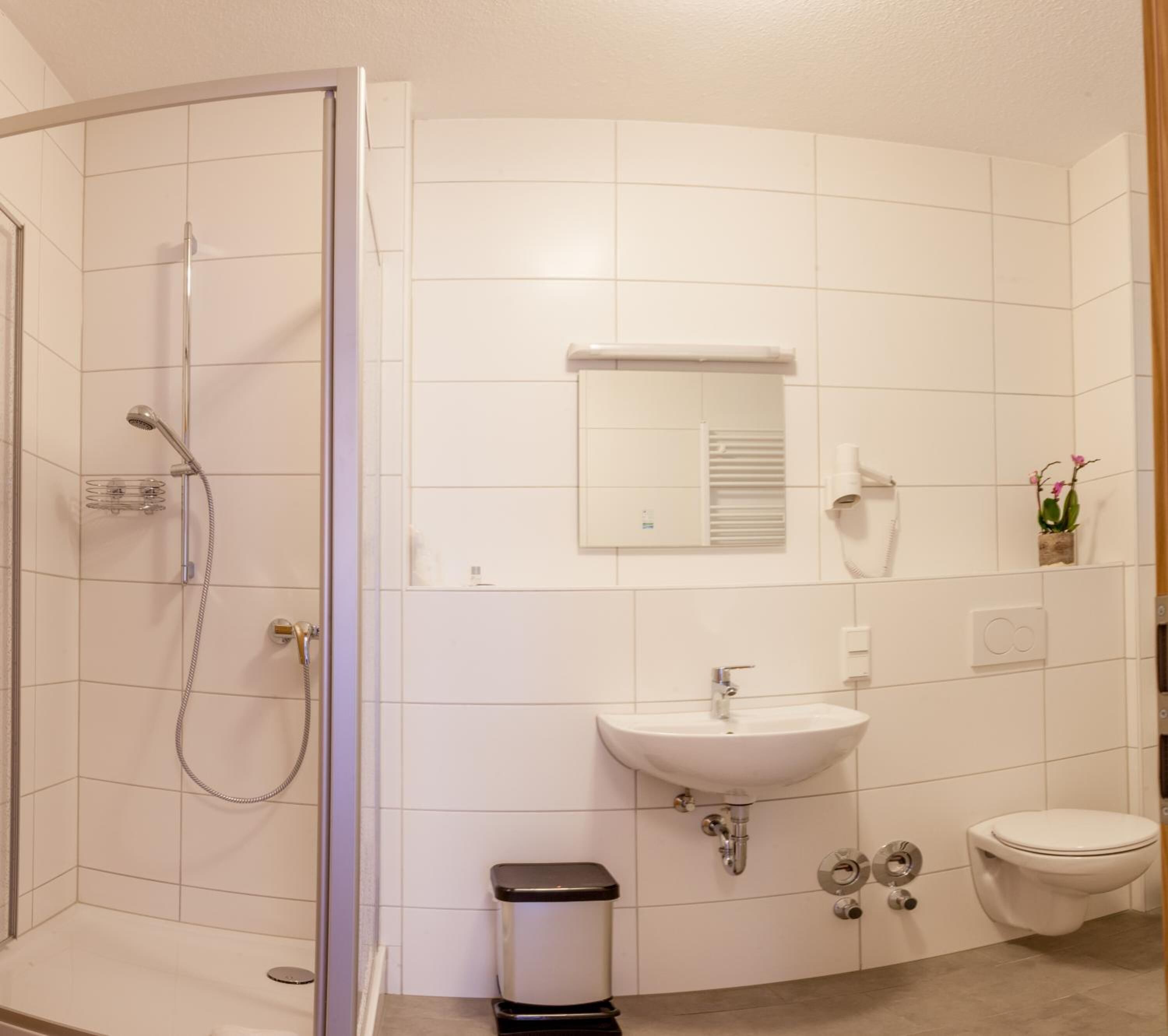 A modern bathroom with a glass-enclosed shower, a white sink, and a toilet.