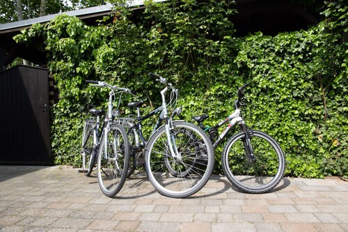 FeWo Seeadlerhorst Oberhof Boltenhagen