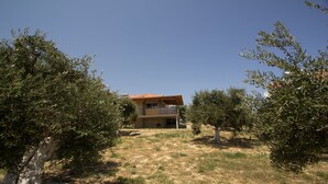 A house with a red-tiled roof, surrounded by olive trees and a dry grassy area. - DIMITRA (no 4)... vacation villa in Koroni of Messinia with sea view!!! (Koroni)