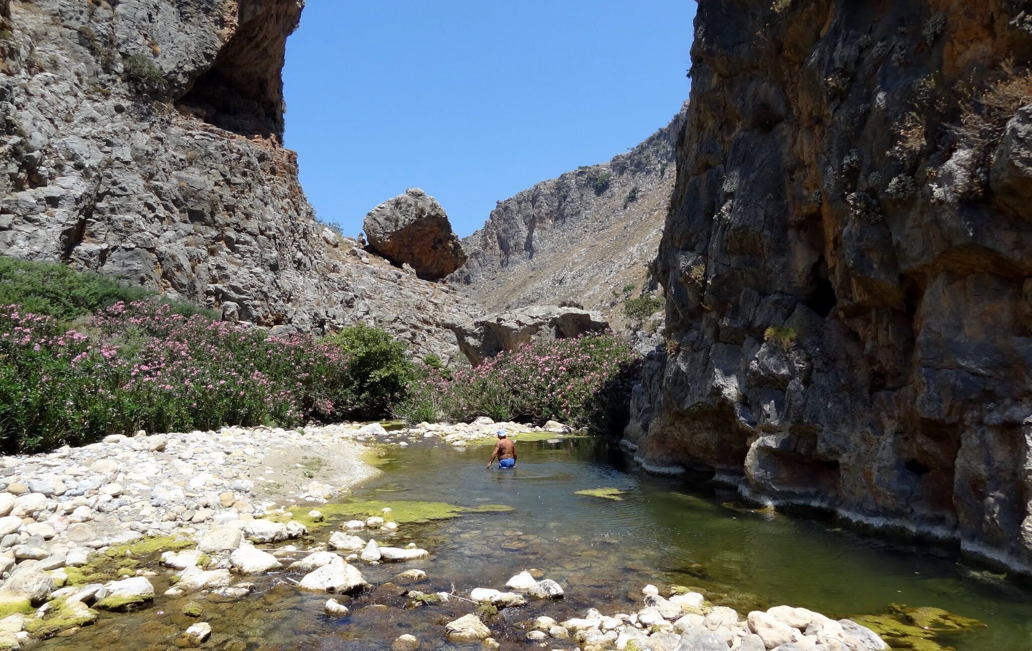 A rocky canyon with a clear stream and pink flowers.