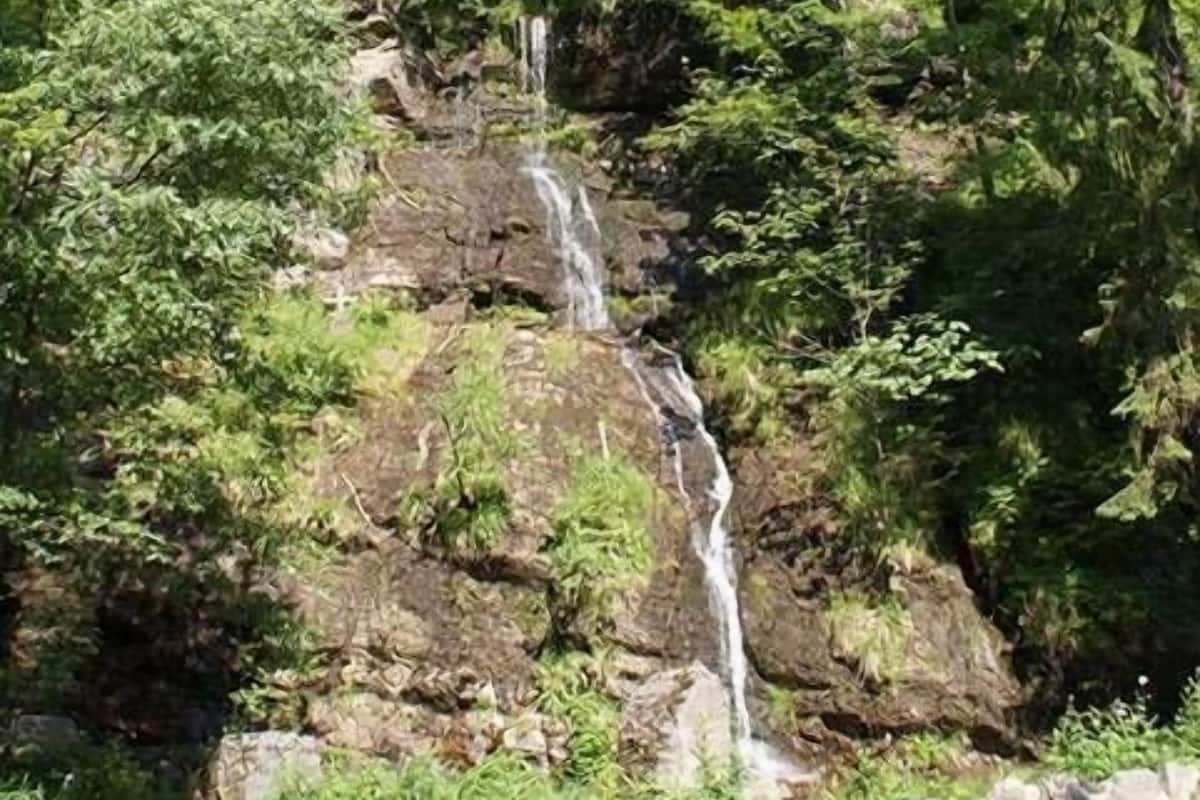 A waterfall cascading down a rocky cliff surrounded by dense green foliage.