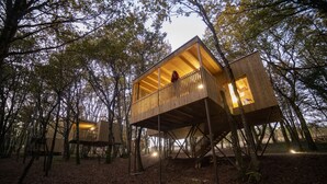 A treehouse with a wooden deck and a balcony, surrounded by trees. - Enoturismo María Manuela (Boqueixon)