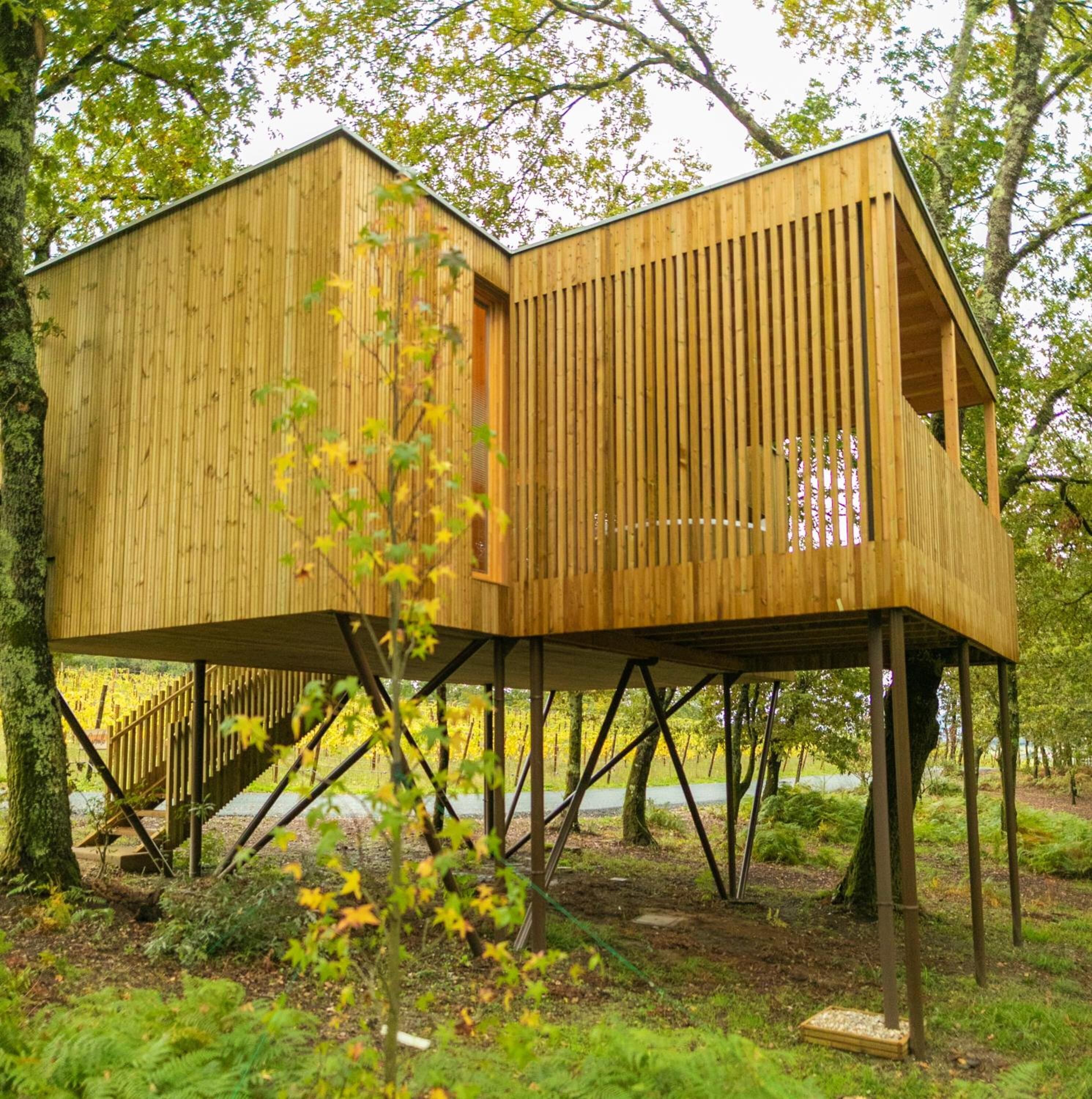 A wooden treehouse with a sloped roof, built on stilts, surrounded by trees and greenery.