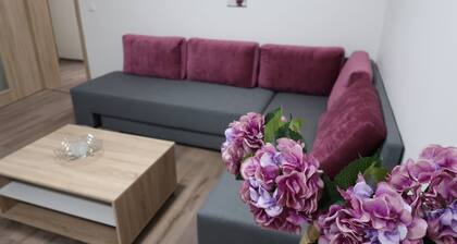 Private Luxury Apartments