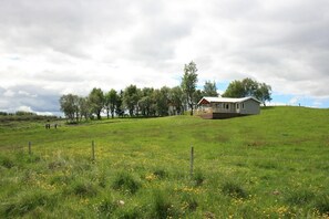 Family Cabin, 2 Bedrooms, Valley View | Garden view