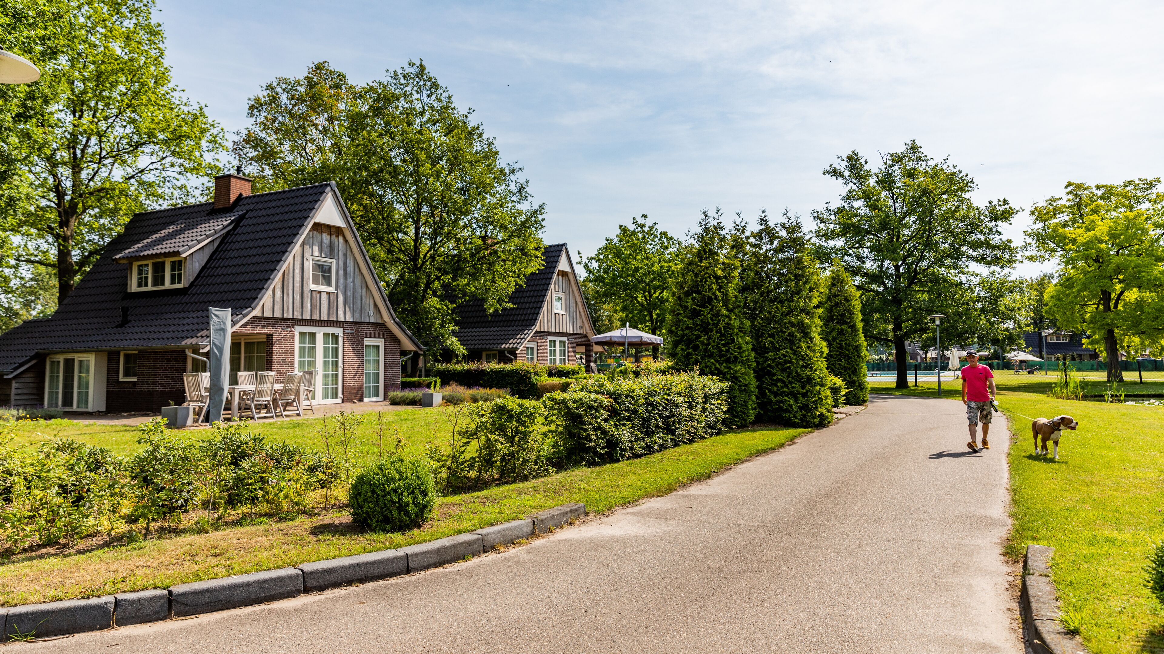 A rural road with houses on either side, a person walking a dog, and a well-maintained garden.