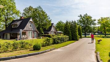 A rural road with houses on either side, a person walking a dog, and a well-maintained garden.