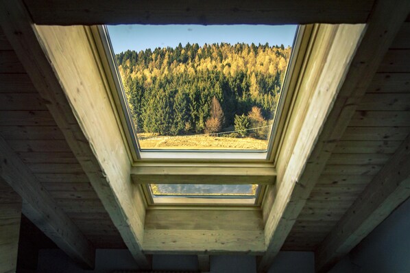 Quang cảnh từ phòng