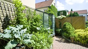 Un jardín con diversas plantas y una valla de madera.