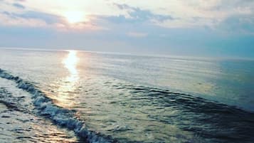 على الشاطئ، كراسي للتشمس، مظلات الشاطئ