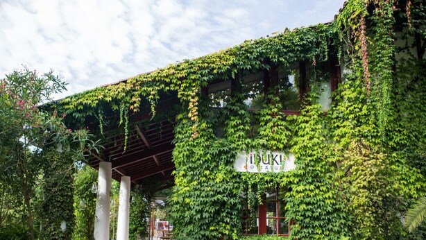 A building covered in lush green ivy, with a sign reading "IUKI O TAZU".