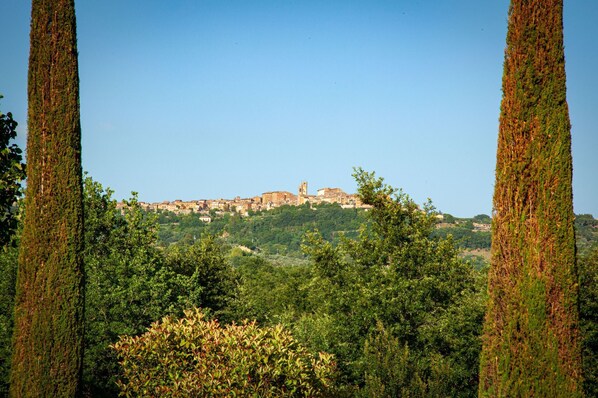 A town with historic buildings on a hill, surrounded by dense greenery.
