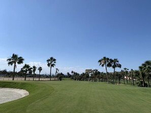 Un parcours de golf doté d’allées bien entretenues, de bunkers de sable et de palmiers.
