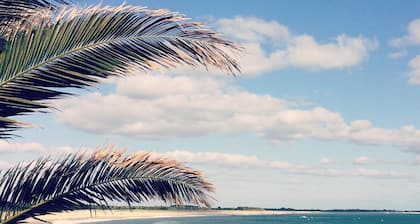 APPARTEMENT 3 ETOILES T2 TOUT CONFORT FACE A LA MER