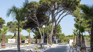 A paved pathway lined with palm trees and rocks, leading to a building with a blue gate. - Camping Sunissim Le Domaine Les Mûriers (Vendres)