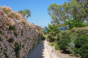 Property grounds - CELINE - 3Bed Villa walking distance to Fig Tree Bay Beach (Paralimni)