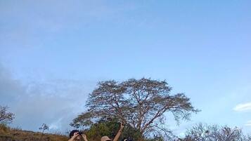 Three people standing on a grassy hill with a tree in the background.