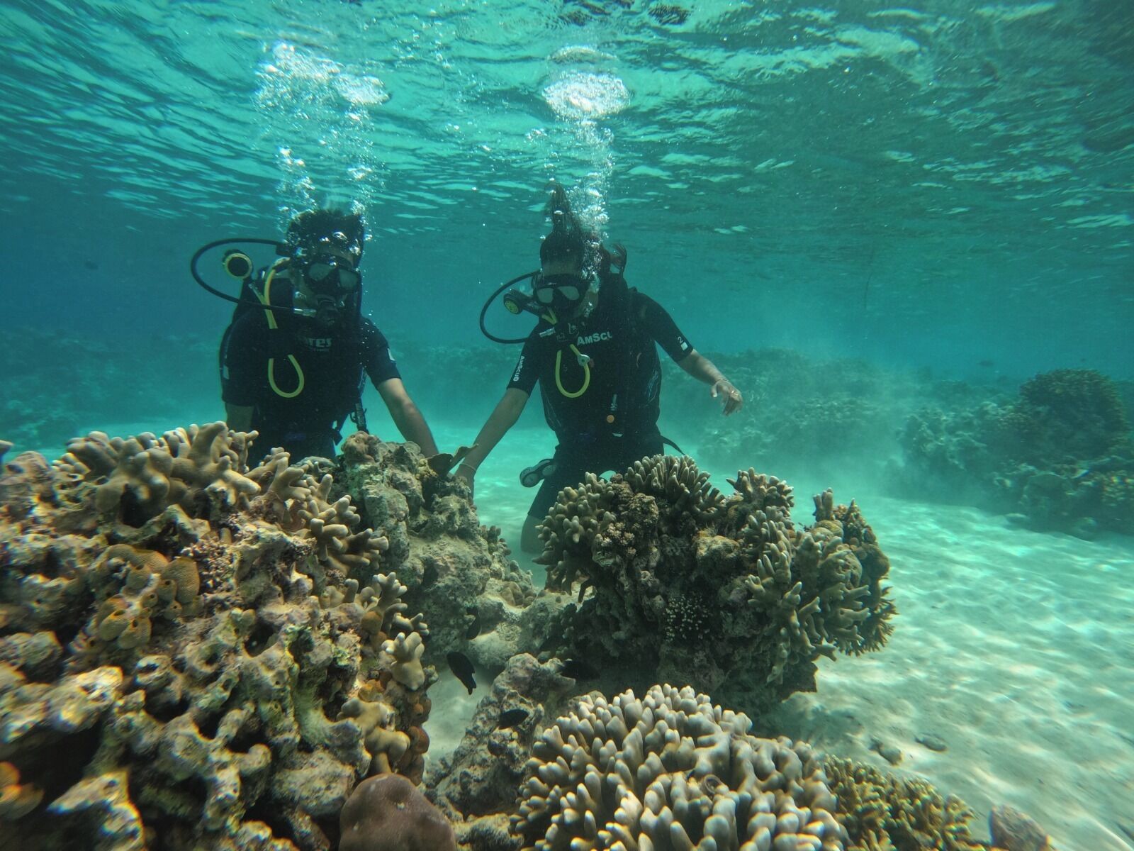 Osservazione di fauna selvatica