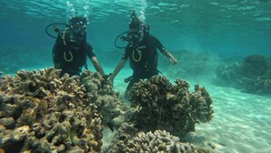 Two divers exploring a coral reef with clear water.
