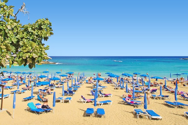 Playa en los alrededores 