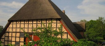 Vacation under thatch