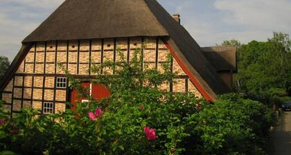 Urlaub  unter   Reet