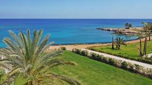 Ein Küstenblick mit blauem Meer, einer grünen Fläche mit Palmen und einer felsigen Küstenlinie.