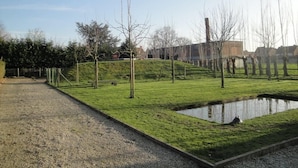 Un camino de grava que conduce a un área verde con un estanque y árboles.