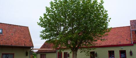 واجهة المنشأة