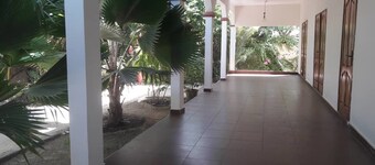 메종 도트 아바나