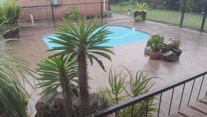 A pool area with a palm tree, potted plants, and a brick wall in the background. - Acacia Guesthouse (Kathu)