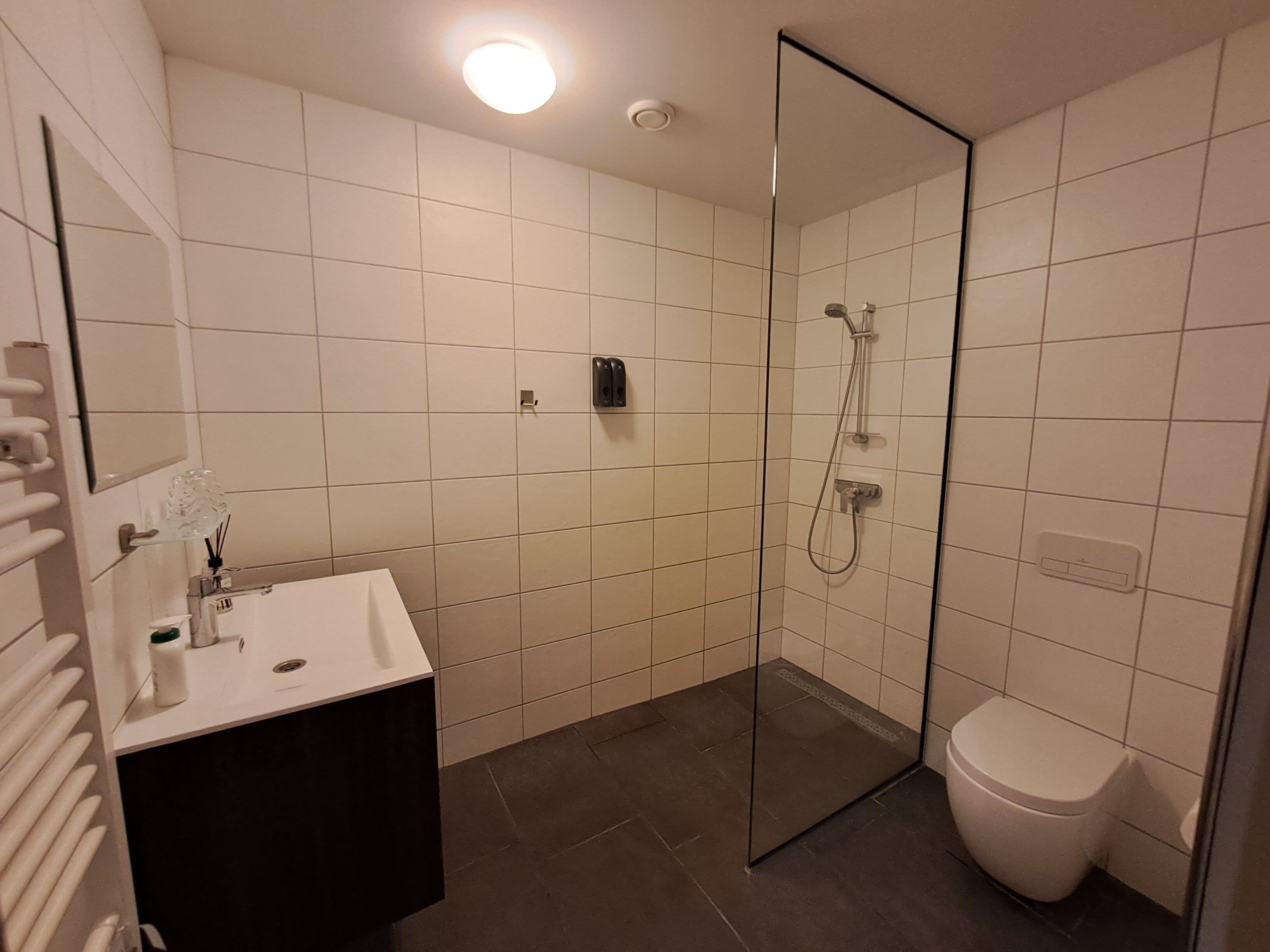 Shower, hydromassage showerhead, hair dryer, towels