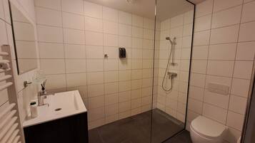 Shower, hydromassage showerhead, hair dryer, towels