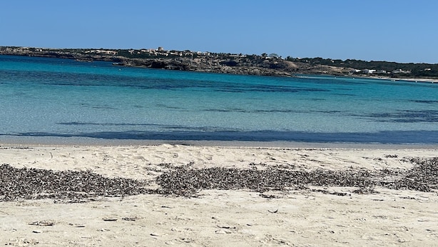 A beach with clear blue water, sandy shore, and distant buildings. - Marino house, your beach house (san francesc, formentera)