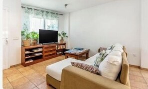 Fernseher, Bücher