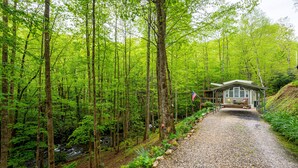 A forested area with a gravel path leading to a house with a porch. - The Owl's Perch - Backwoods glamping cabin over amazing creek (Robbinsville)