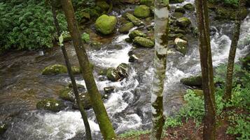 A river flowing through a forest with rocks and trees.