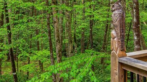 A forested area with a wooden deck and railing overlooking a stream. - The Owl's Perch - Backwoods glamping cabin over amazing creek (Robbinsville)