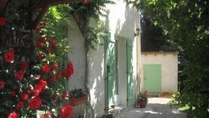 Uma passagem estreita com um edifício rústico, portas verdes e vasos de plantas.