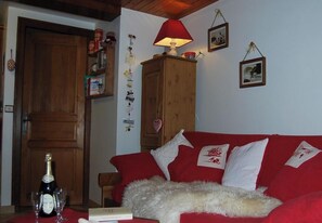 TV, DVD player, table tennis, books