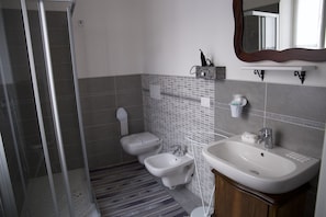 Shower, hair dryer, bidet, towels