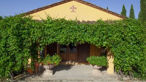 A building with a yellow facade and a roof covered in greenery.