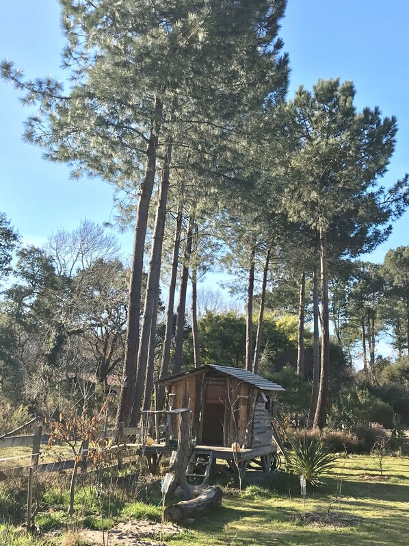 Exterior - Villa des Pinsons for a Calm, Nature & Ocean holiday (Moliets-et-Maa)