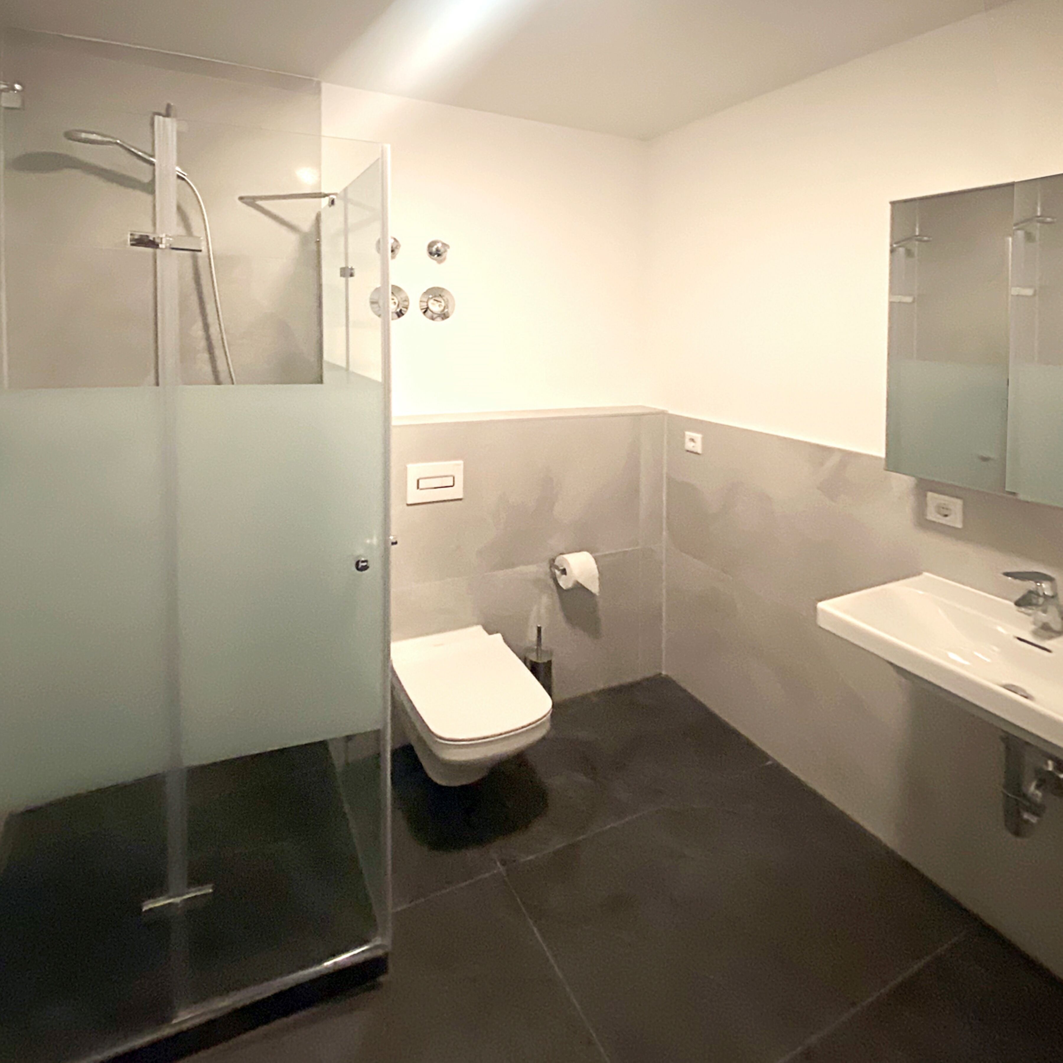 A modern bathroom with a glass-enclosed shower, a toilet, and a sink with a mirror above it.