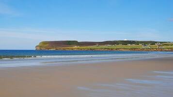 A beach with a cliff and houses in the background.