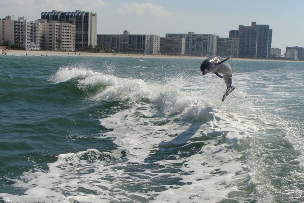 On the beach, sun loungers, beach towels