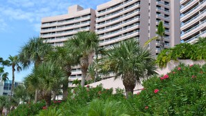 A multi-story hotel with balconies, surrounded by lush greenery and palm trees.