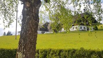 A child sitting under a tree in a grassy area with a hedge and buildings in the background.