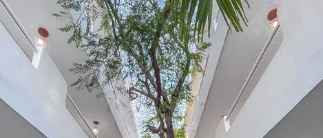 A spacious indoor area with a central tree, seating, and a ceiling with hanging lights.